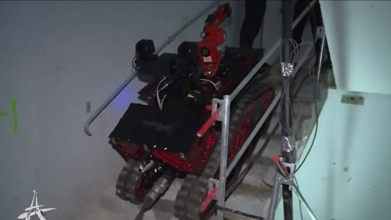 Colossus�����C���ˎ��������T������ʥĸԺ���