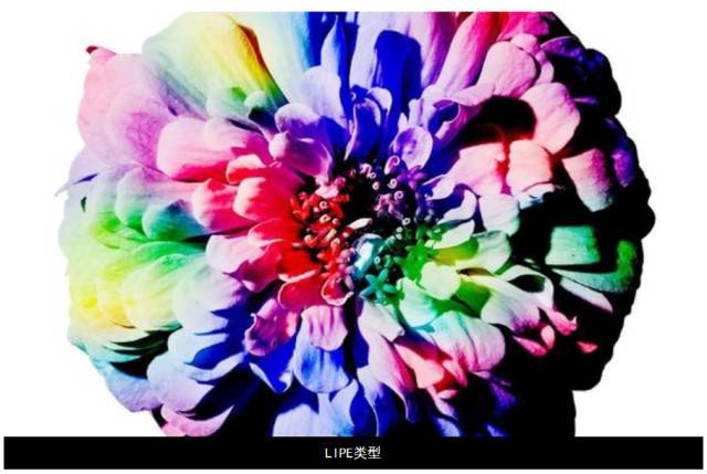 ����ڤ��C����-���l���ڄ���