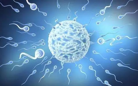 �ɹ������ܾ��ӆ��l(f��)��΢�͙C���˿������w���΄ӣ��\��ˎ��