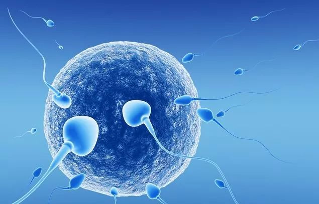 �ɹ������ܾ��ӆ��l(f��)��΢�͙C���˿������w���΄����\��ˎ��