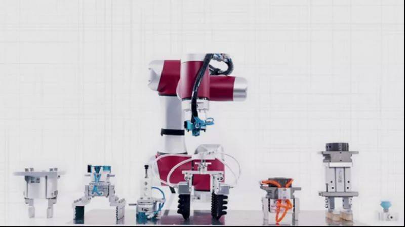 �����ߵ��M�� ��2019������Ʒȫ��l��