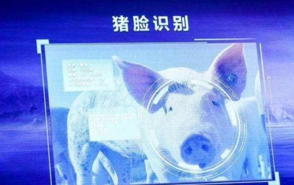 京東入局機(jī)器人養(yǎng)豬,農(nóng)業(yè)市場細(xì)分是否潛力巨大?